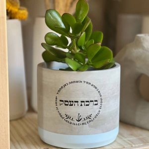 עציץ בטון מעוצב עם ברכת העסק