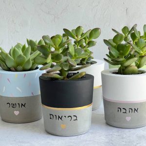 עציץ בטון עם מילות ברכה