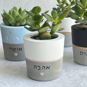 עציץ בטון עם מילות ברכה