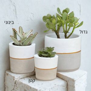 עציץ בטון גדול + הקדשה בהתאמה אישית במגוון עיצובים