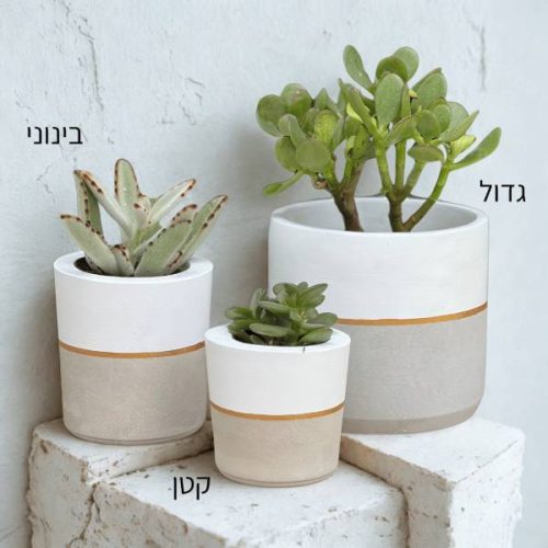 עציץ בטון מעוצבים