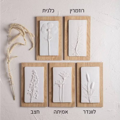 ⁦שלישיית תמונות בטון בוטניות על עץ - גודל S⁩ – תמונה ⁦6⁩